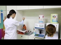 포커스 NCR 페이퍼