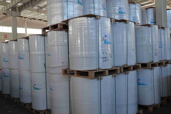 100% Imported Virgin Wood Pulp BPA Free Thermal Paper High Smoothness Strong Tension Long Imaging Life