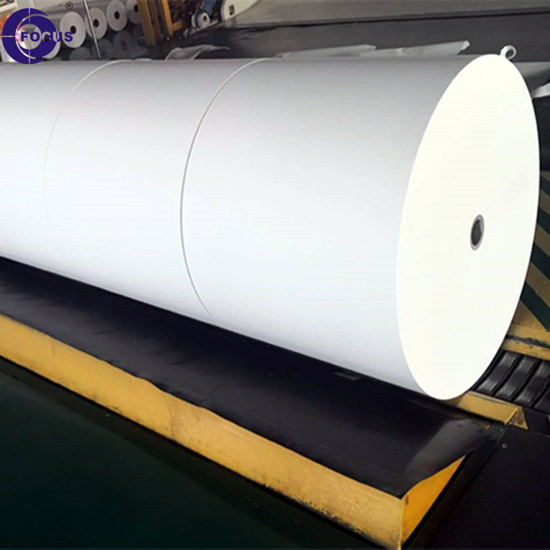 5-7 Years Image Life Jumbo Thermal Paper Roll with Free Sample