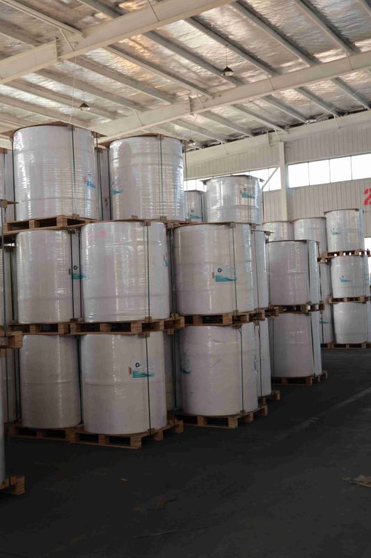 BPA-Free Thermal Paper Roll for POS Receipts, ATM printer paper, oil-resistant thermal roll – 5+ Year Image Life